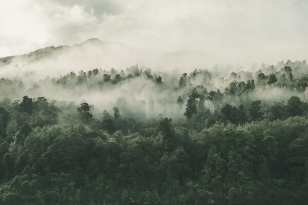 Photo Mysterious fog